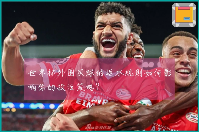 世界杯外围买球的返水规则如何影响你的投注策略？