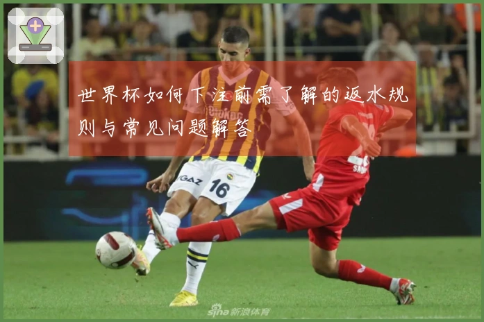 世界杯如何下注前需了解的返水规则与常见问题解答