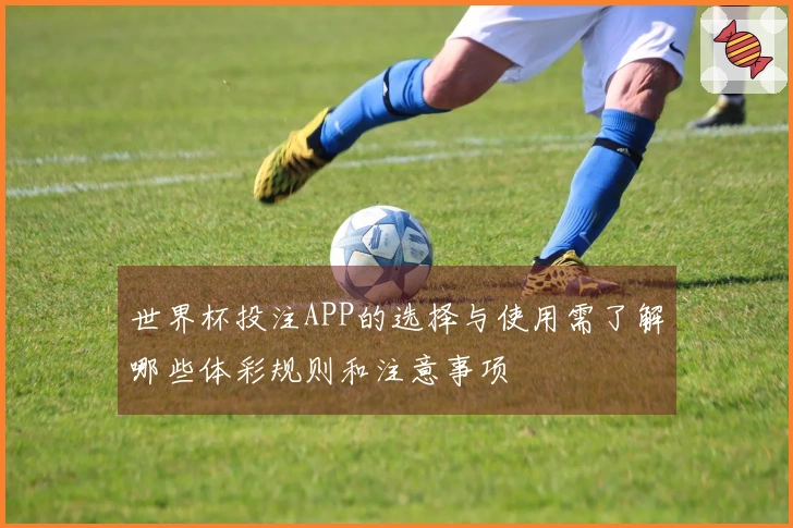 世界杯投注APP的选择与使用需了解哪些体彩规则和注意事项