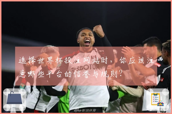 选择世界杯投注网站时，你应该注意哪些平台的信誉与规则？